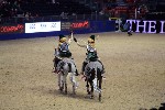 Quadrille - 00816